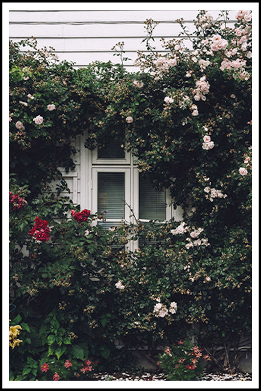 Floral House Poster - Hakyarts