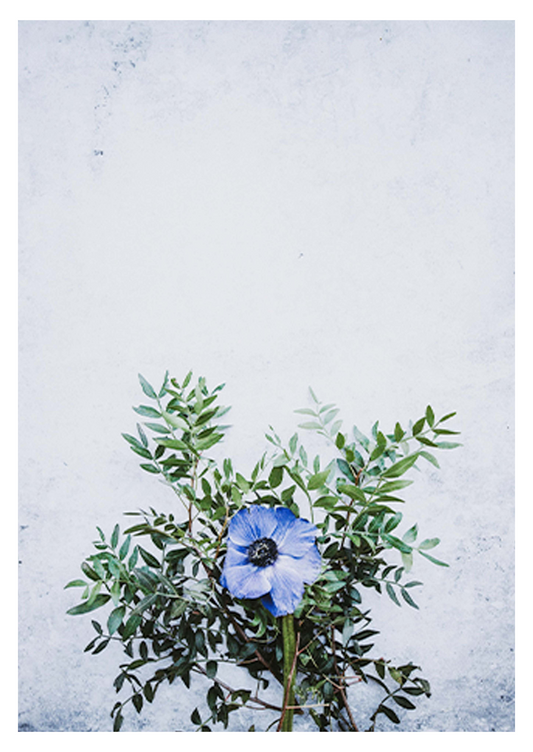 Flowering Blue Poster - Hakyarts