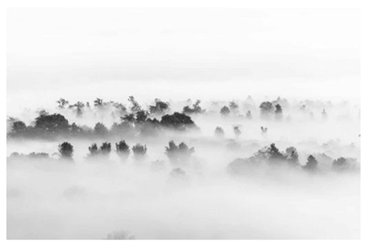 Foggy Landscape Poster - Hakyarts