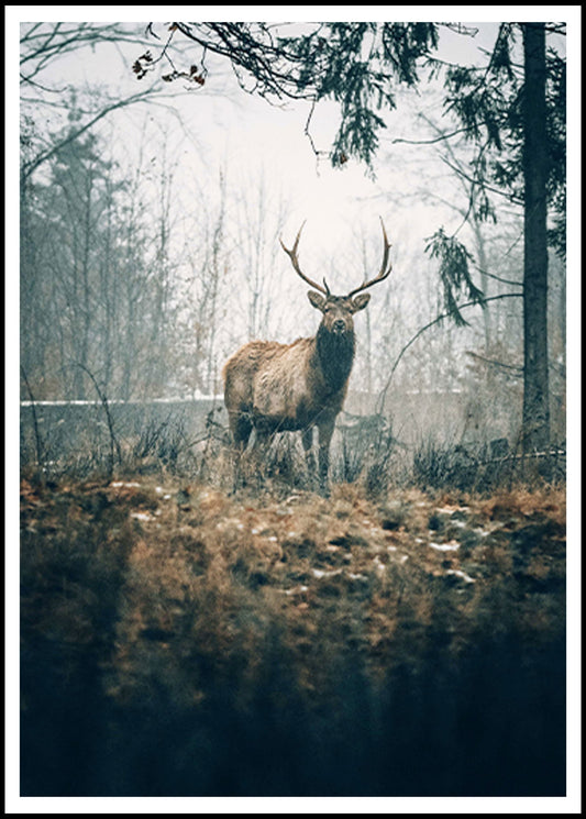 Forest Cerf Poster - Hakyarts