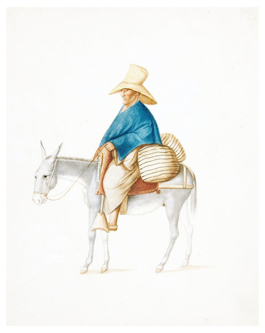 Francisco Fierro - Man on Mule Loaded Saddlebacks Poster - Hakyarts