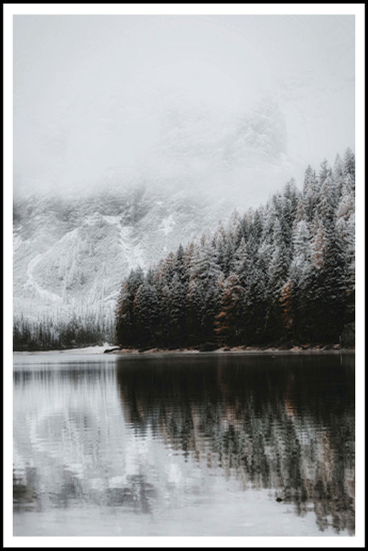 Frozen Trees Poster - Hakyarts