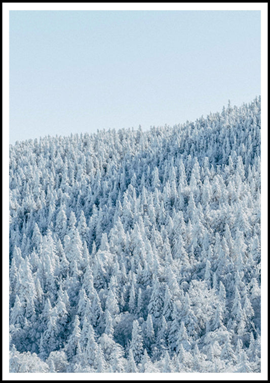 Frozen Winter Forest Poster - Hakyarts