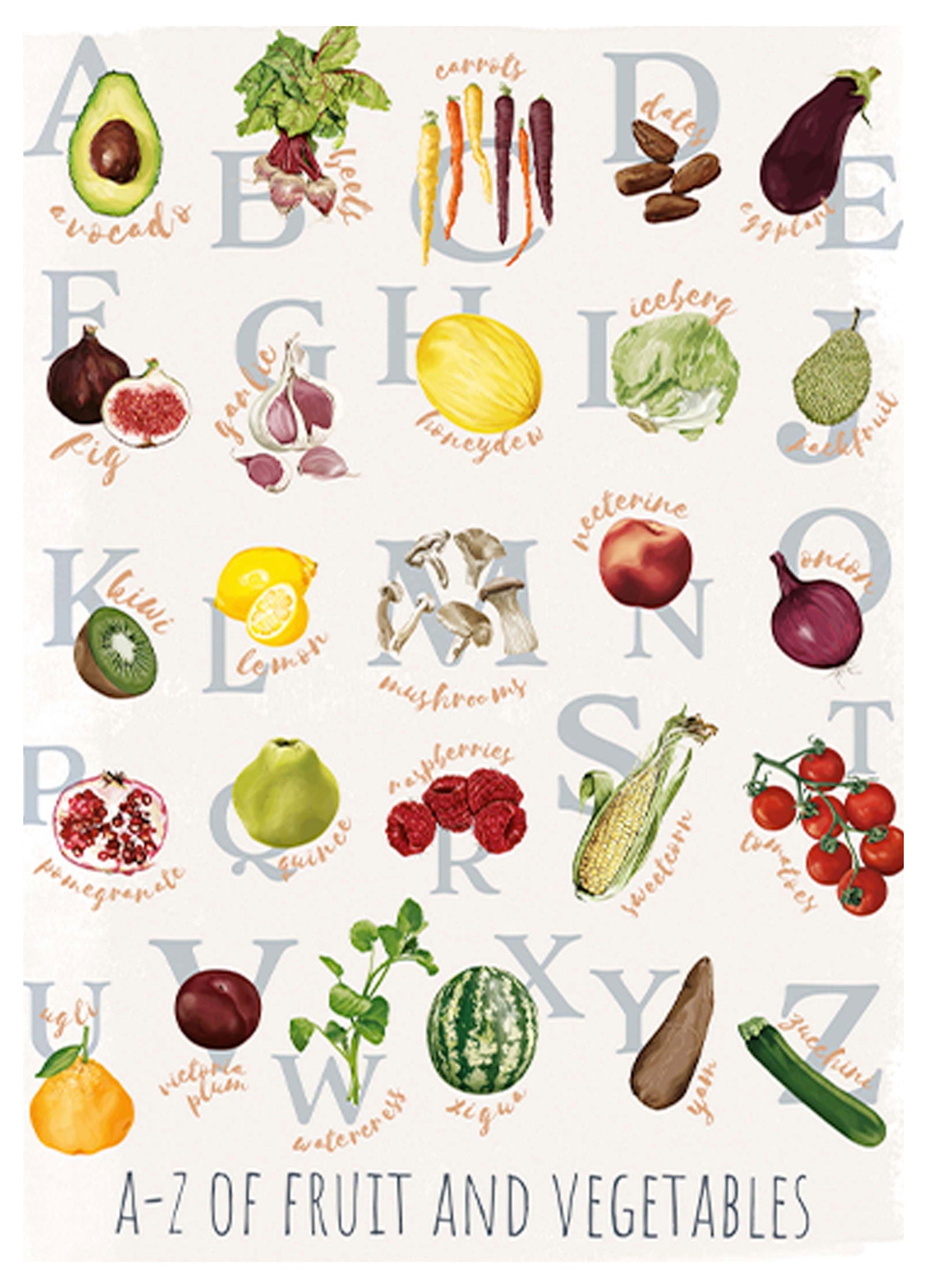 Fruits And Vegetables Alphabet Poster - Hakyarts