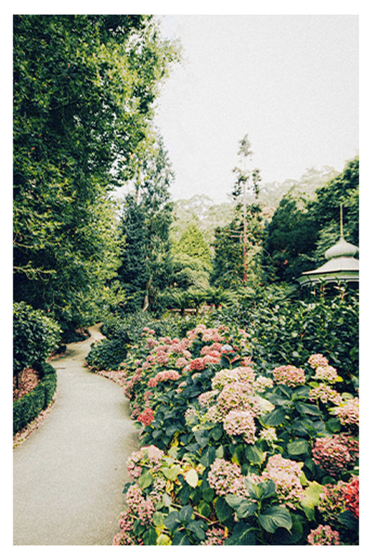 Garden Path Poster - Hakyarts