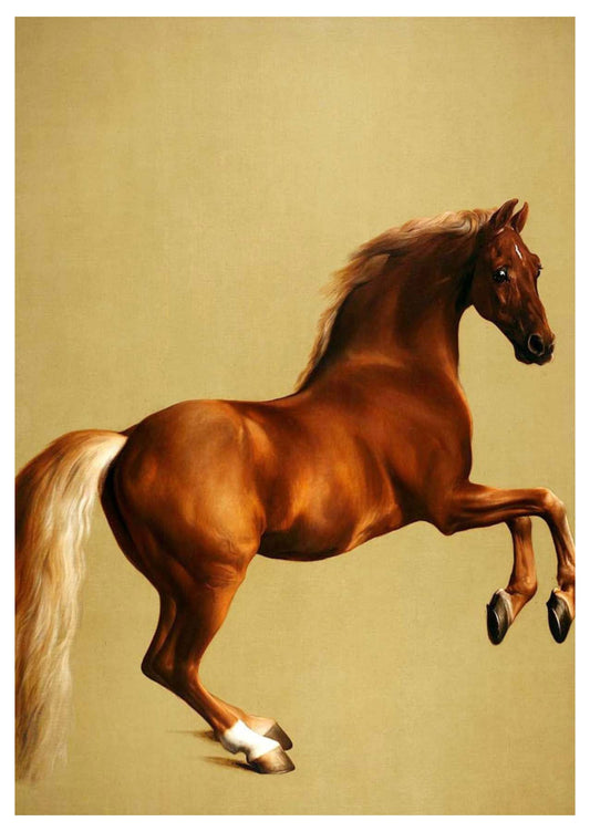 George Stubbs - Whistlejacket - Hakyarts