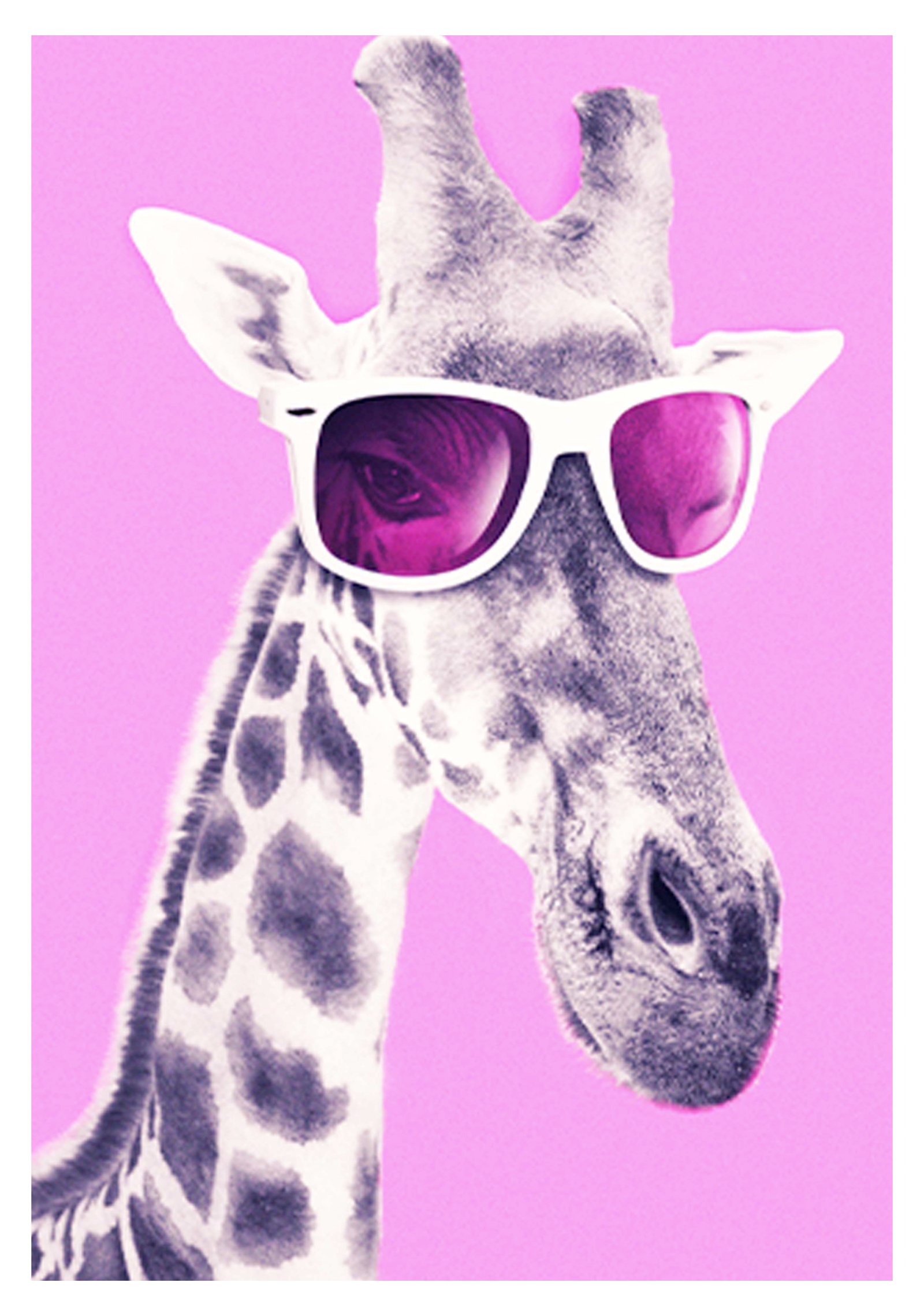 Giraffe Pink Sunglasses Poster - Hakyarts