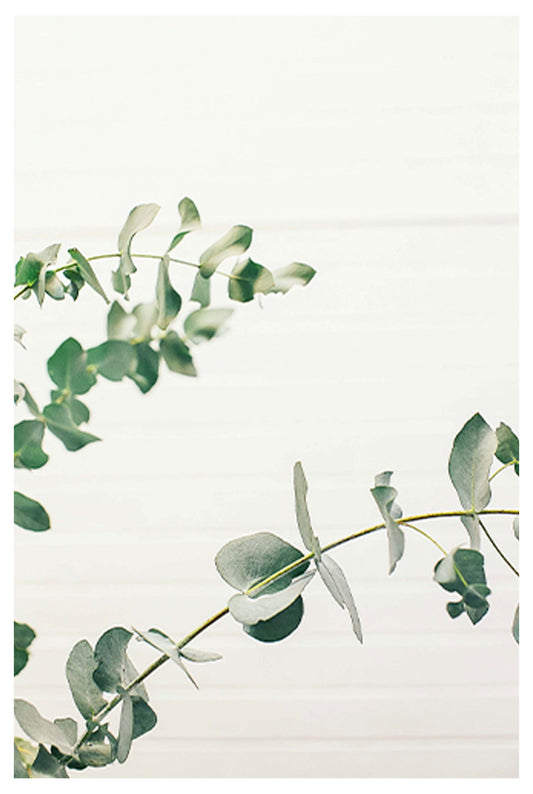 Green Plant No 1 Poster - Hakyarts