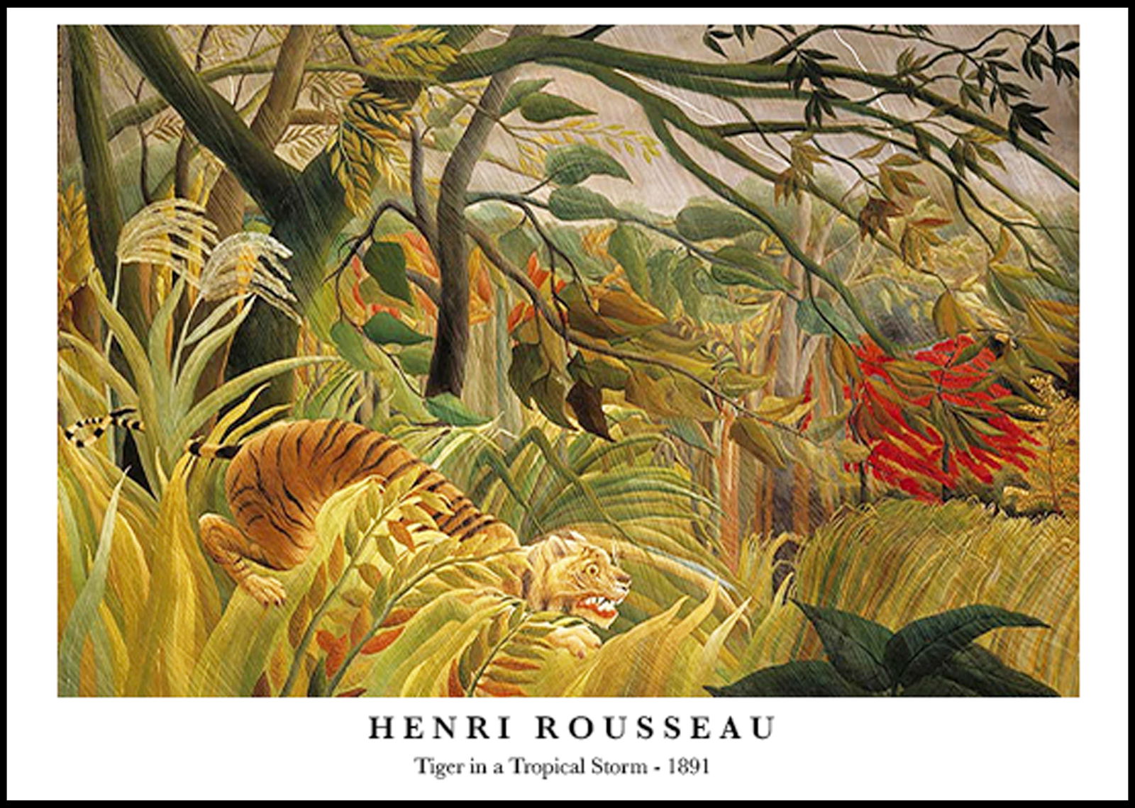 Henri Rousseau - Tiger in a Tropical Storm Poster - Hakyarts