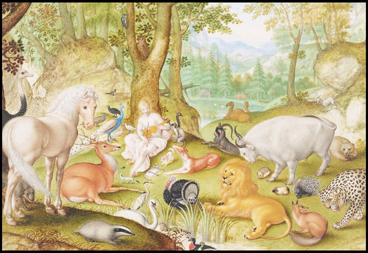 Jacob Hoefnagel - Orpheus Charming the Animals - Hakyarts