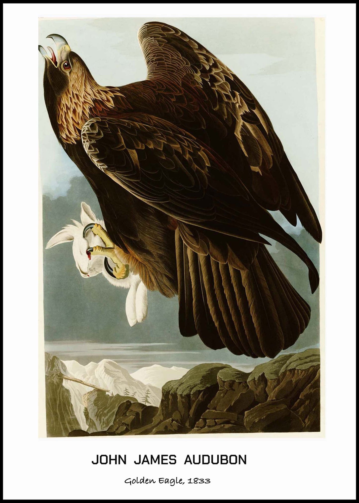 John James Audubon - Golden Eagle Poster - Hakyarts