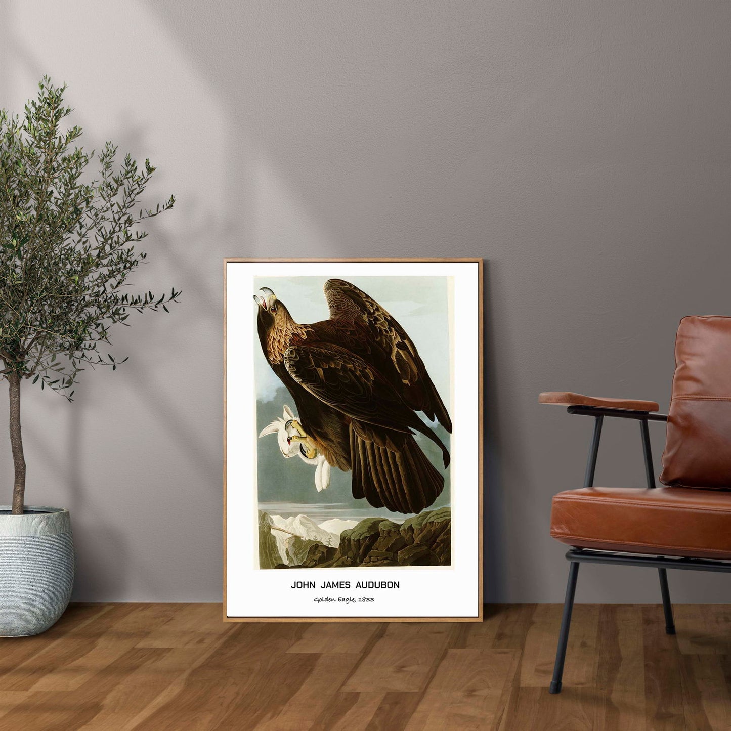 John James Audubon - Golden Eagle Poster - Hakyarts