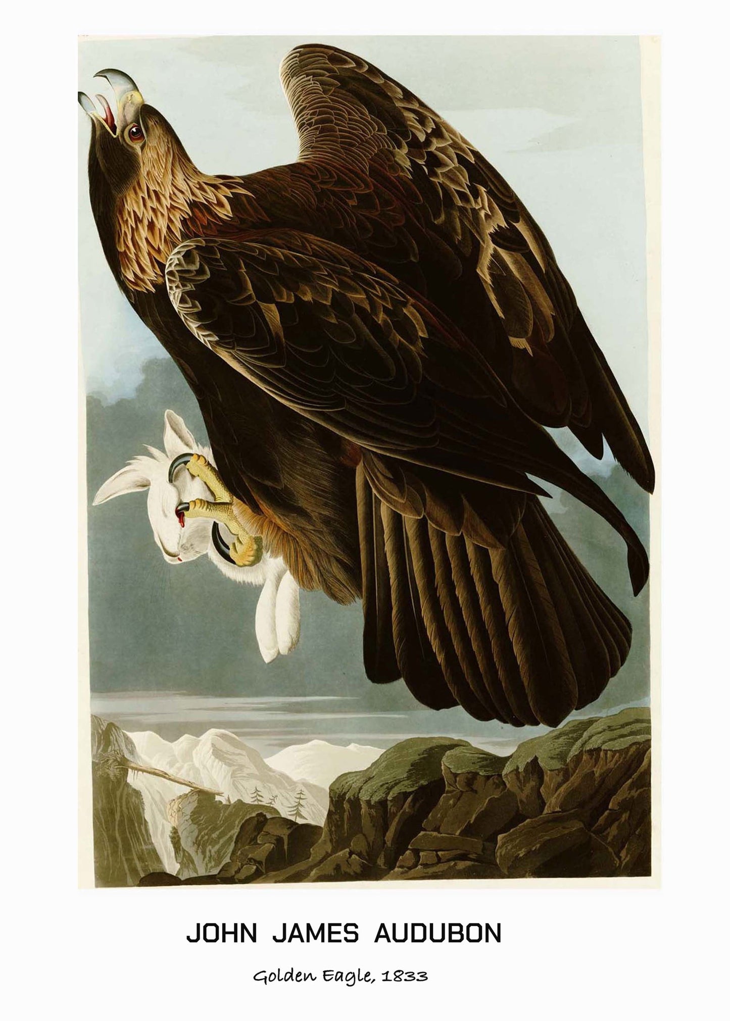 John James Audubon - Golden Eagle Poster - Hakyarts