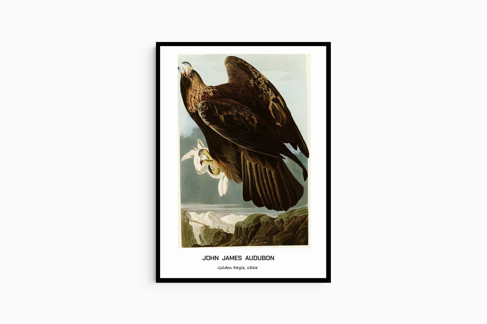 John James Audubon - Golden Eagle Poster - Hakyarts