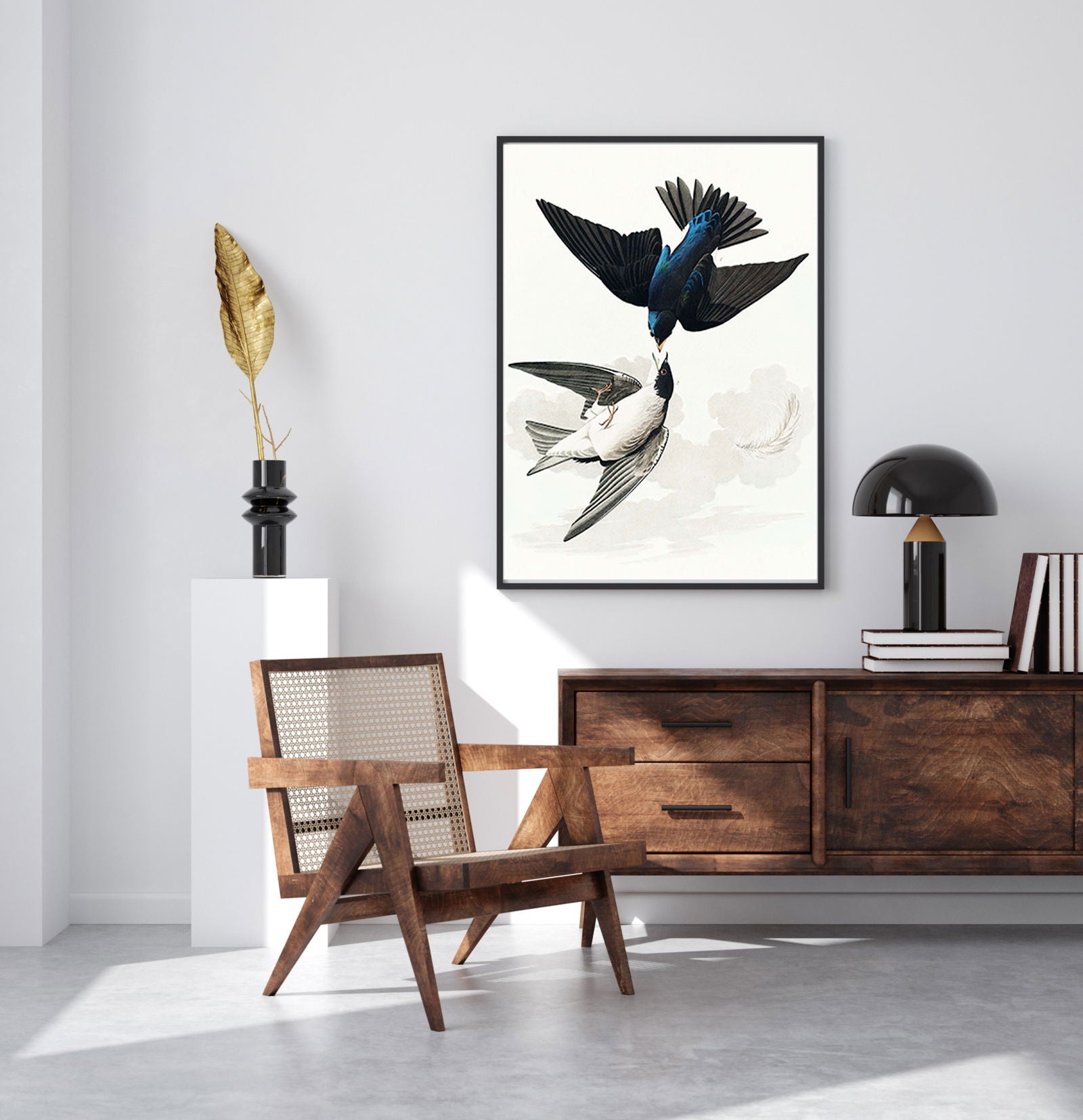 John James Audubon - White-bellied Swallow from Birds of America - Hakyarts