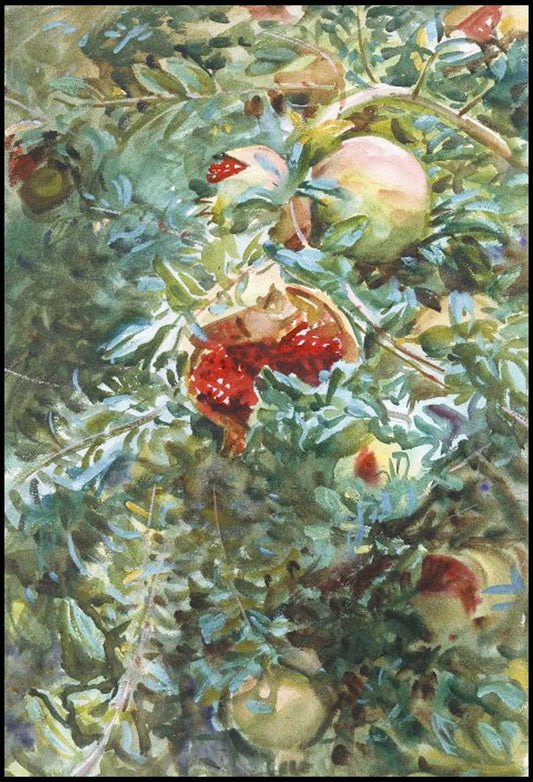 John Singer Sargent - Pomegranates - Hakyarts