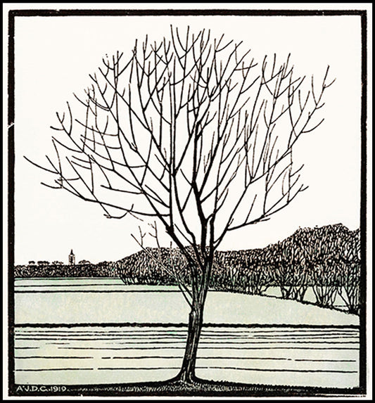 Julie de Graag - Bald Tree - Hakyarts