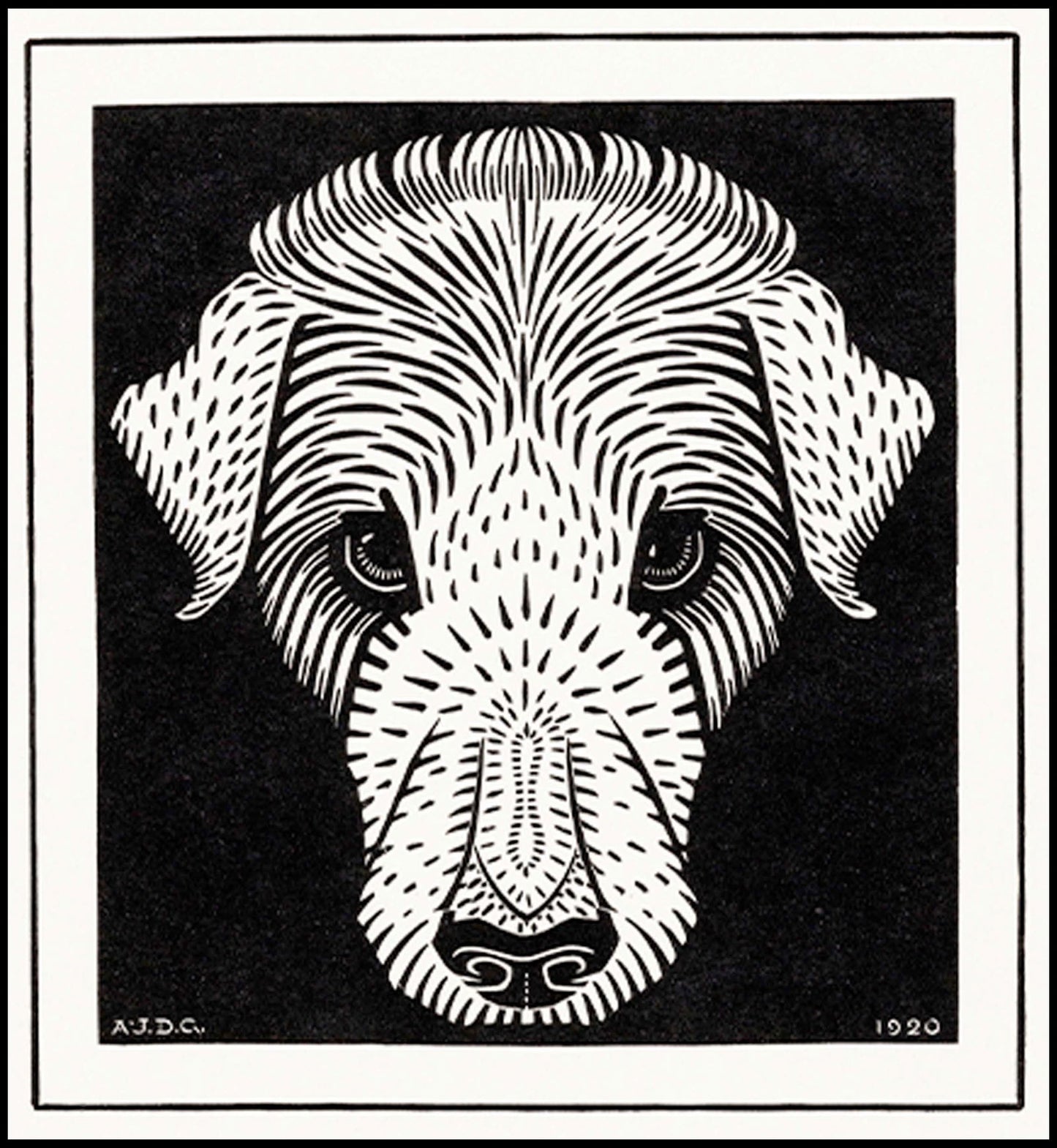 Julie de Graag - Dog's Head - Hakyarts