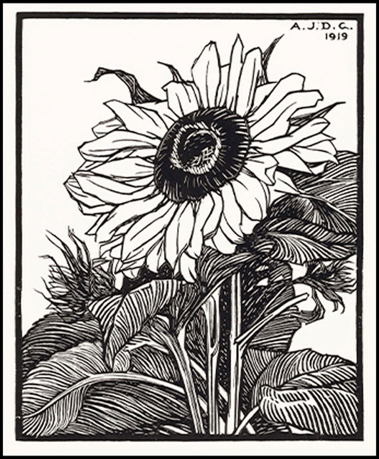 Julie de Graag - Sunflower - Hakyarts