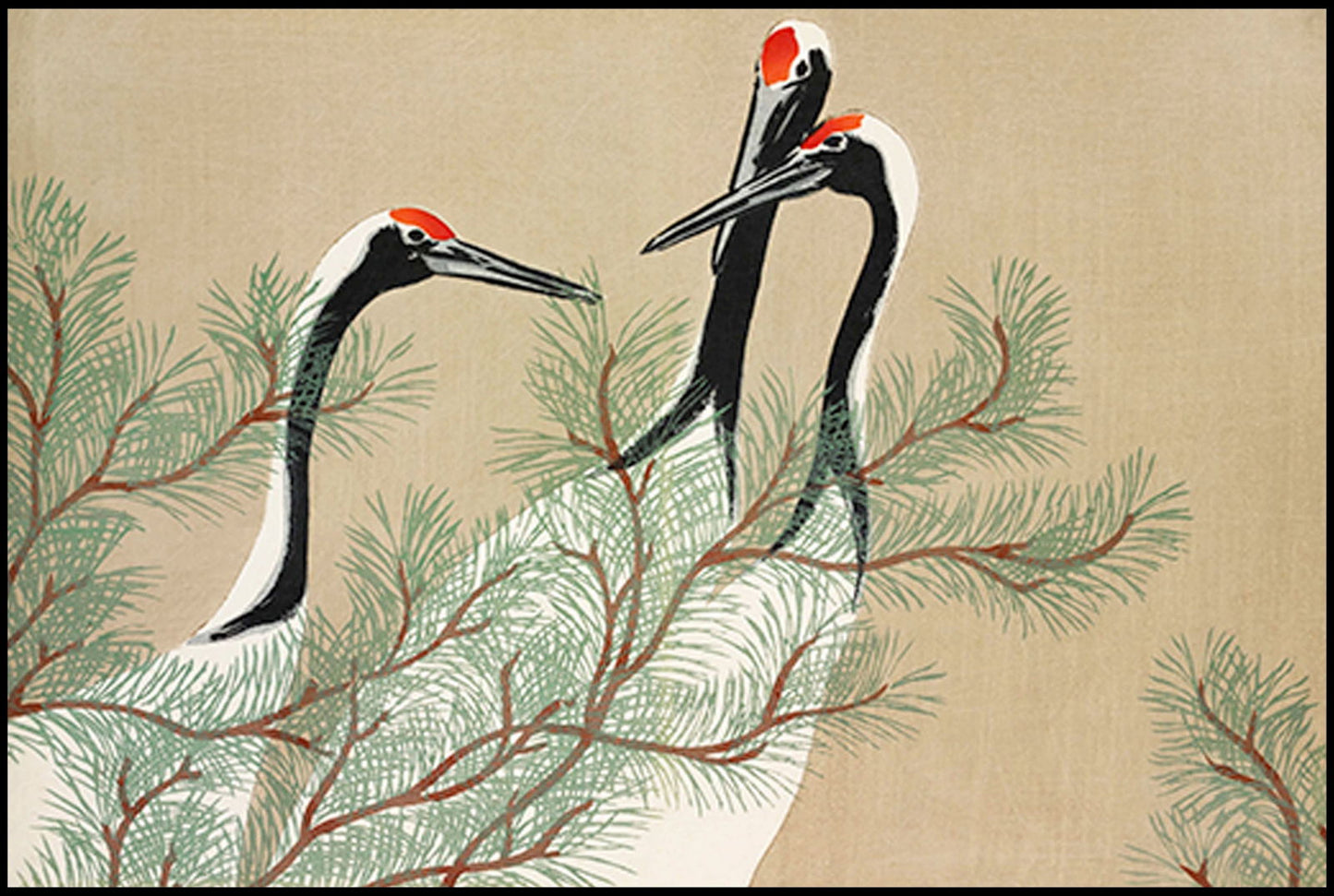 Kamisaka Sekka  - Cranes from Momoyogusa - Hakyarts