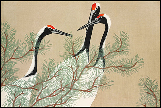 Kamisaka Sekka  - Cranes from Momoyogusa - Hakyarts