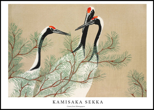 Kamisaka Sekka - Cranes from Momoyogusa Poster - Hakyarts