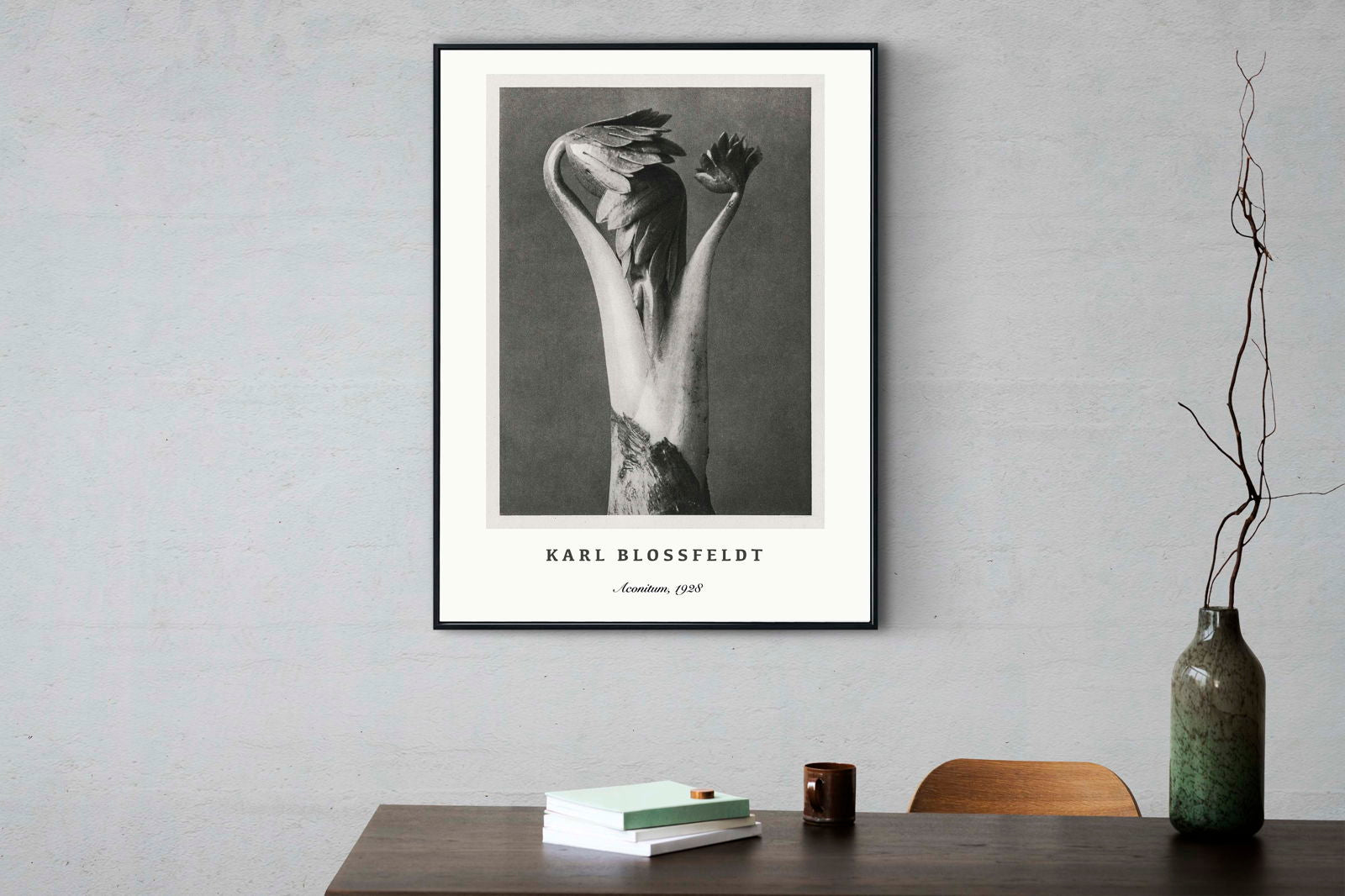 Karl Blossfeldt - Aconitum Poster - Hakyarts