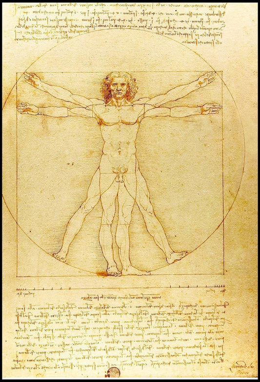 Leonardo da Vinci - Vitruvian Man - Hakyarts