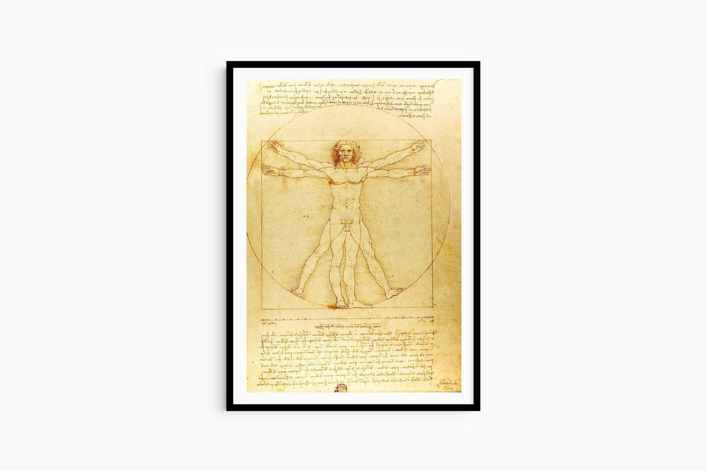 Leonardo da Vinci - Vitruvian Man - Hakyarts