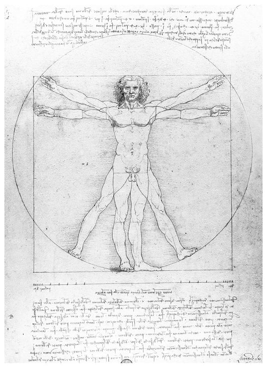 Leonardo da Vinci - Vitruvian Man - Hakyarts