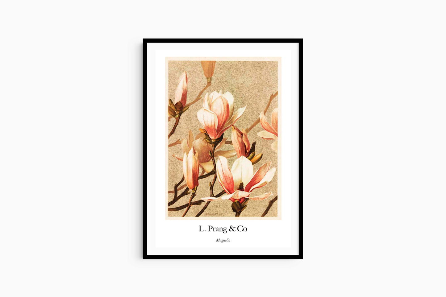 Louis Prang & Co - Magnolia Poster - Hakyarts