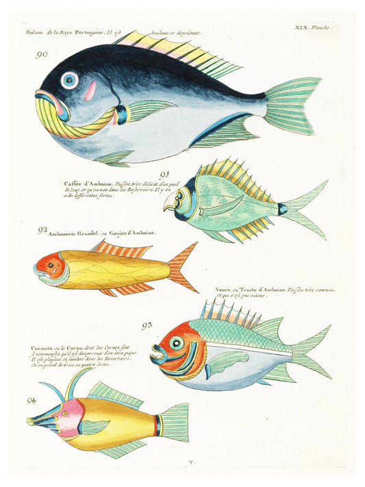 Louis Renard - Poissons Plate 62 Poster - Hakyarts