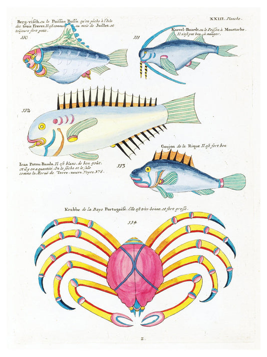 Louis Renard - Poissons Plate 66 Poster - Hakyarts