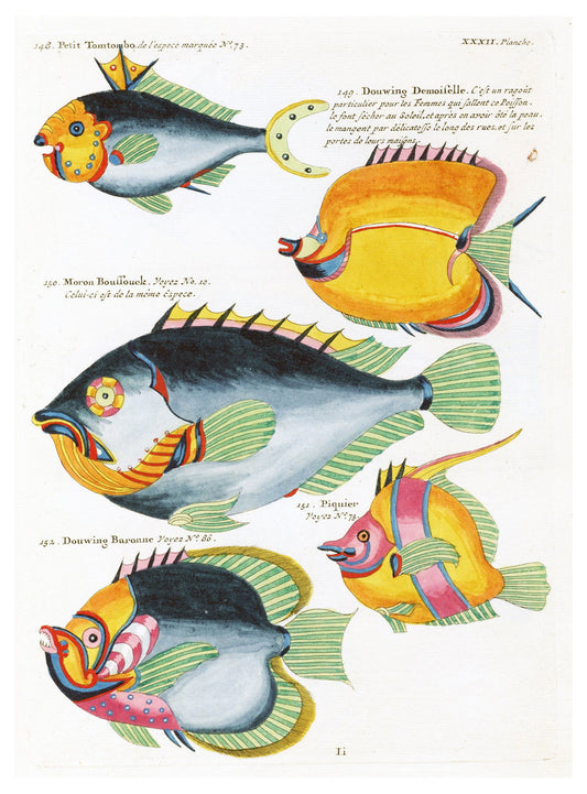 Louis Renard - Poissons Plate 75 Poster - Hakyarts