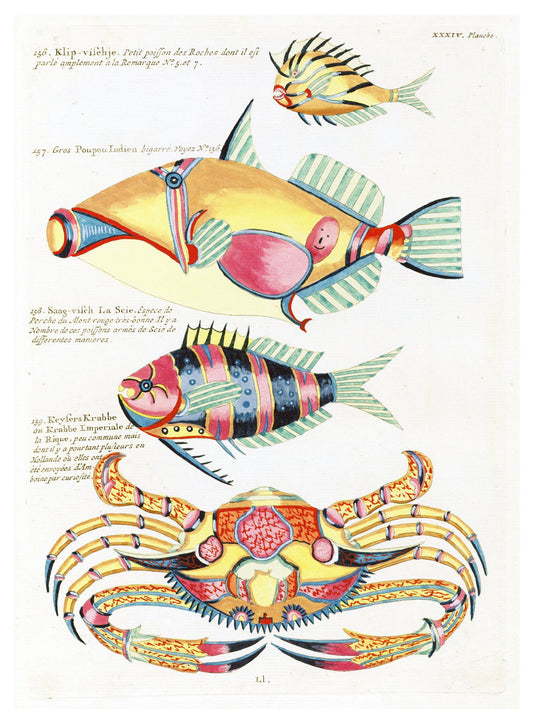 Louis Renard - Poissons Plate 77 Poster - Hakyarts