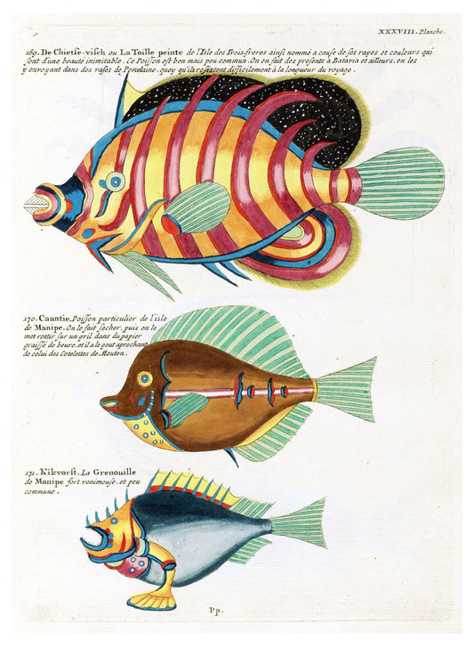 Louis Renard - Poissons Plate 82 Poster - Hakyarts