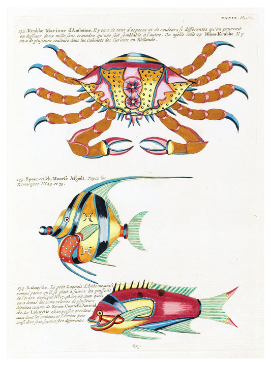 Louis Renard - Poissons Plate 84 Poster - Hakyarts