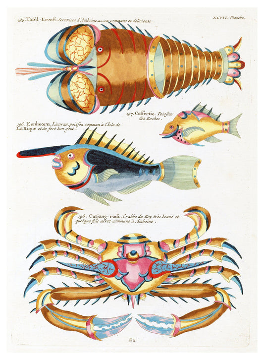 Louis Renard - Poissons Plate 90 Poster - Hakyarts