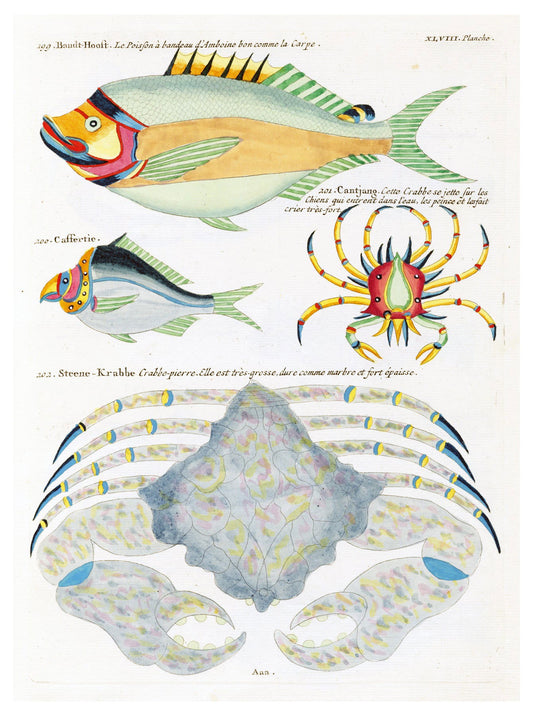 Louis Renard - Poissons Plate 91 Poster - Hakyarts