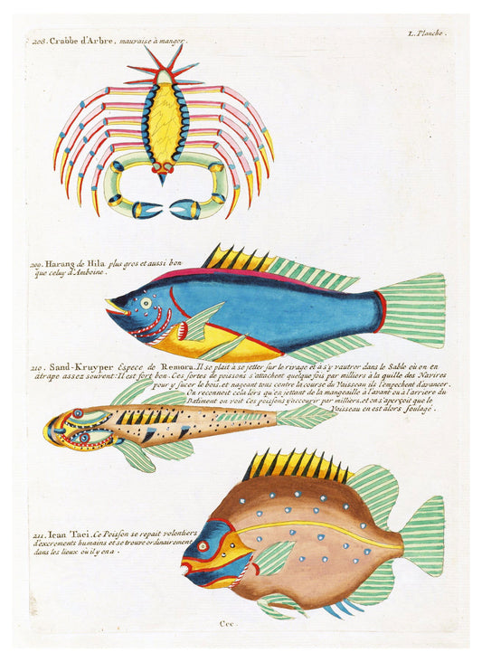 Louis Renard - Poissons Plate 93 Poster - Hakyarts