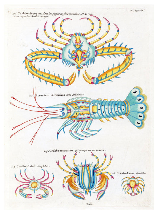 Louis Renard - Poissons Plate 94 Poster - Hakyarts