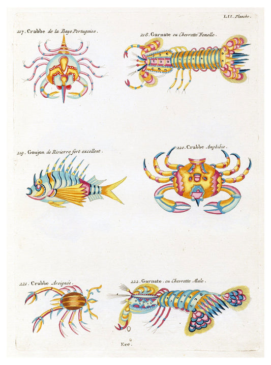 Louis Renard - Poissons Plate 95 Poster - Hakyarts