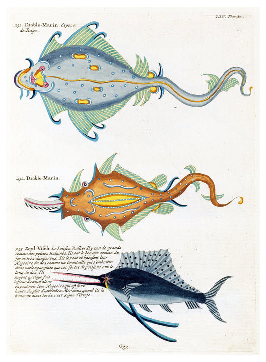 Louis Renard - Poissons Plate 97 Poster - Hakyarts