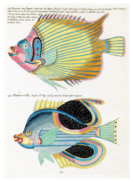 Louis Renard - Poissons Plate 99 Poster - Hakyarts