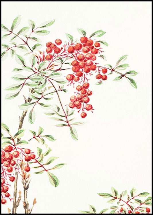 Megata Morikaga - Nandina Bush with Berries - Hakyarts