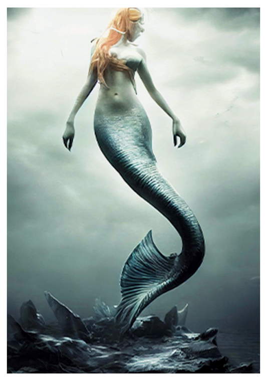 Mermaid Poster - Hakyarts