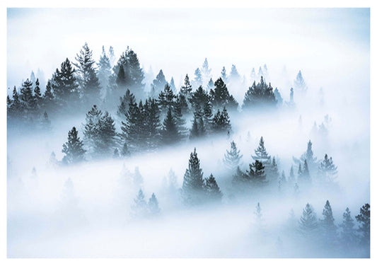 Misty Mountain Forest Poster - Hakyarts