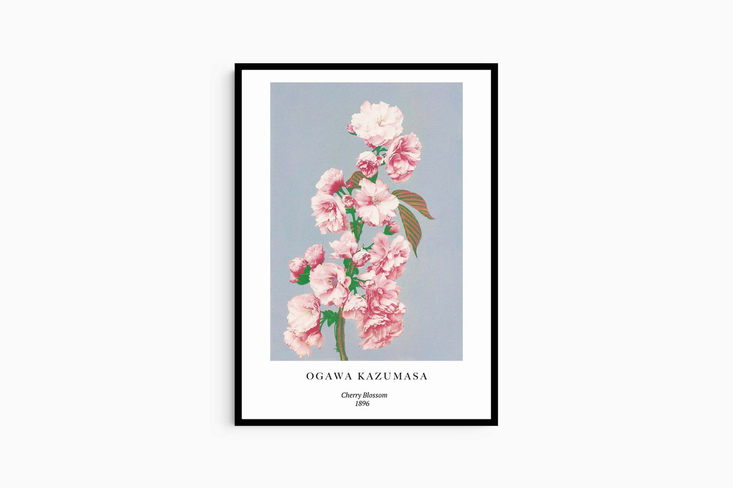 Ogawa Kazumasa - Cherry Blossom Poster - Hakyarts