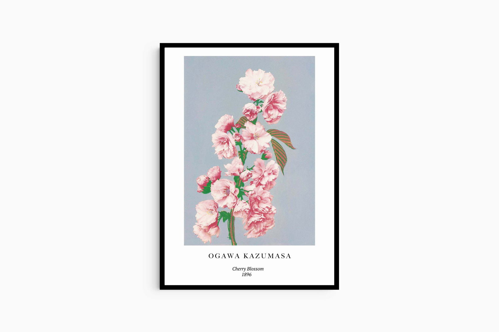 Ogawa Kazumasa - Cherry Blossom Poster - Hakyarts