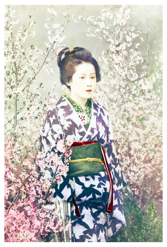 Ogawa Kazumasa - Geisha and Cherry Blossom - Hakyarts